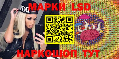 крисы Бердск