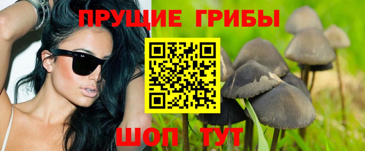 Галлюциногенные грибы Magic Shrooms  Галлюциногенные грибы GOLDEN TEACHER  Вход с VPN  Киселёвск 
